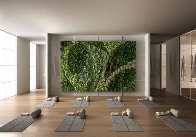 Gallery Images
